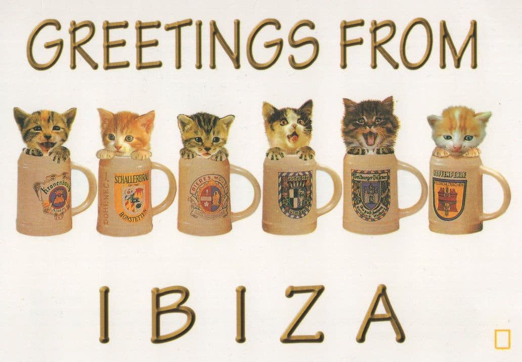 Cats Kittens In Ibiza Beer Mugs Postcard