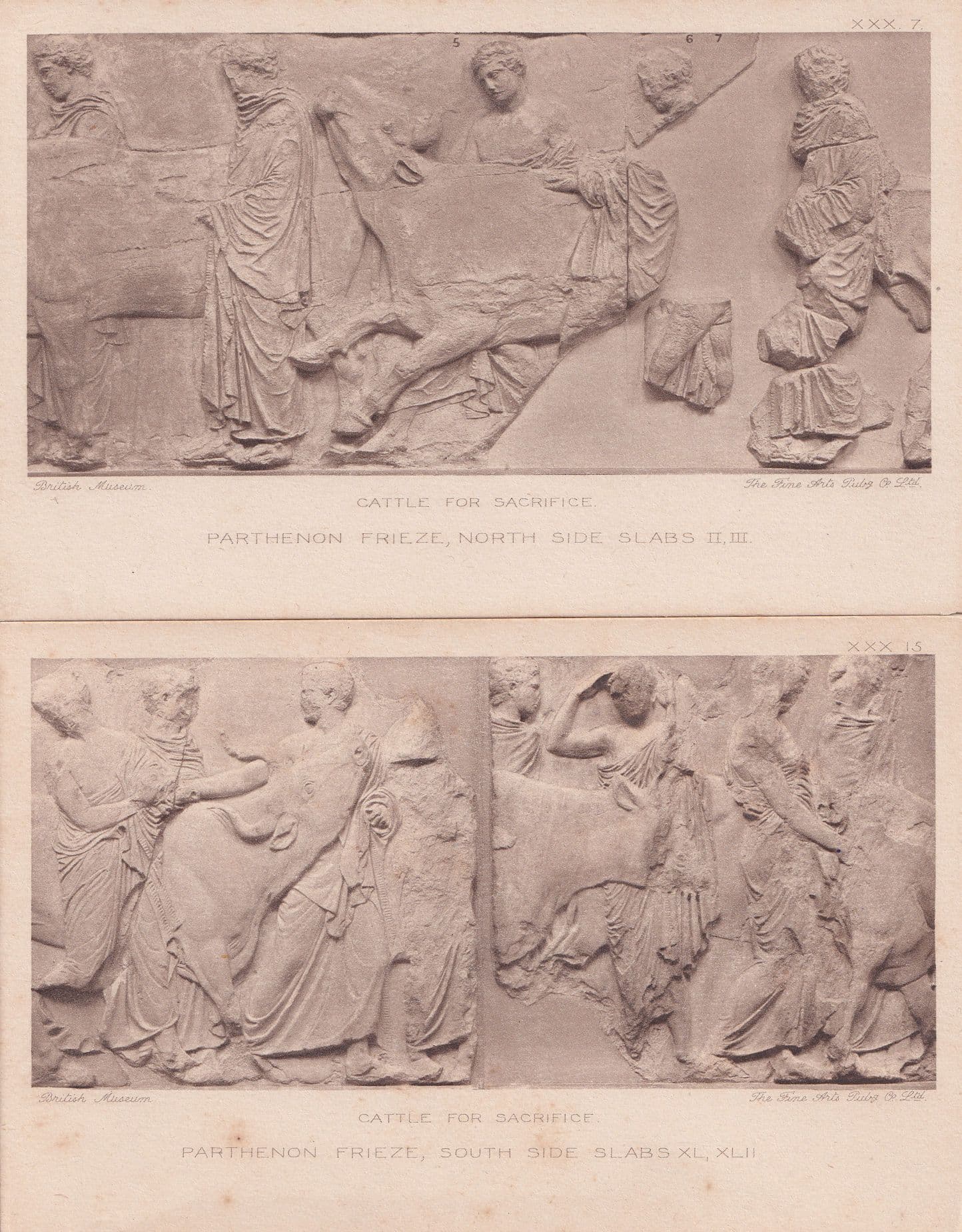 Cattle for Sacrifice Parthenon Frieze British Museum 2x Postcard s