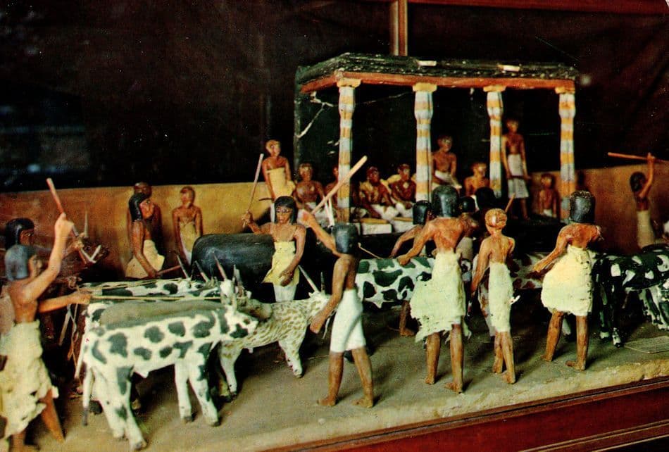 Cattle Review Egyptian Museum Cairo 11th Dynasty Sculpture Postcard