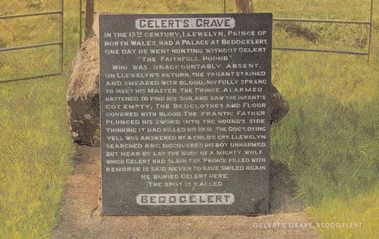 Celerts Grave Gravestone Beddgelert Wales 1970s Postcard