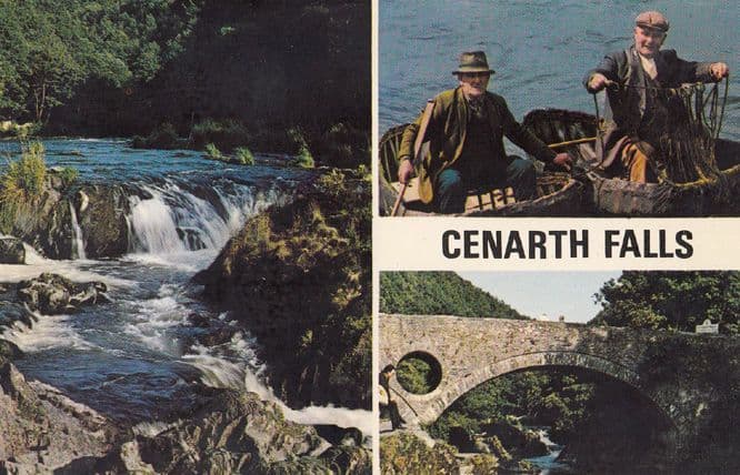 Cenarth Falls Fishing Nets 1970s Postcard