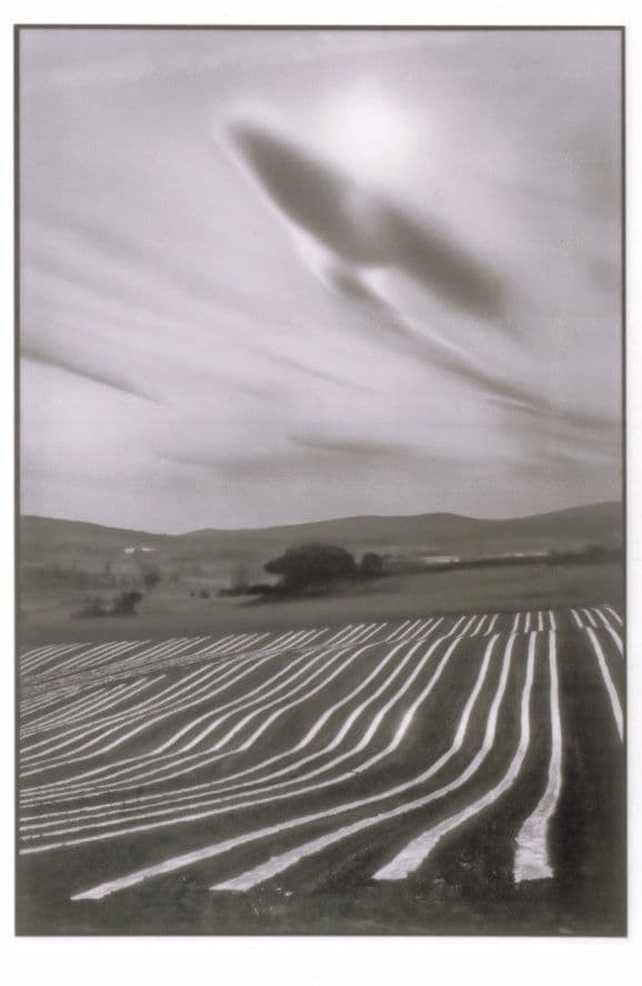 Cereste French Alpes De Haute Melon Plantations Award Photo Postcard