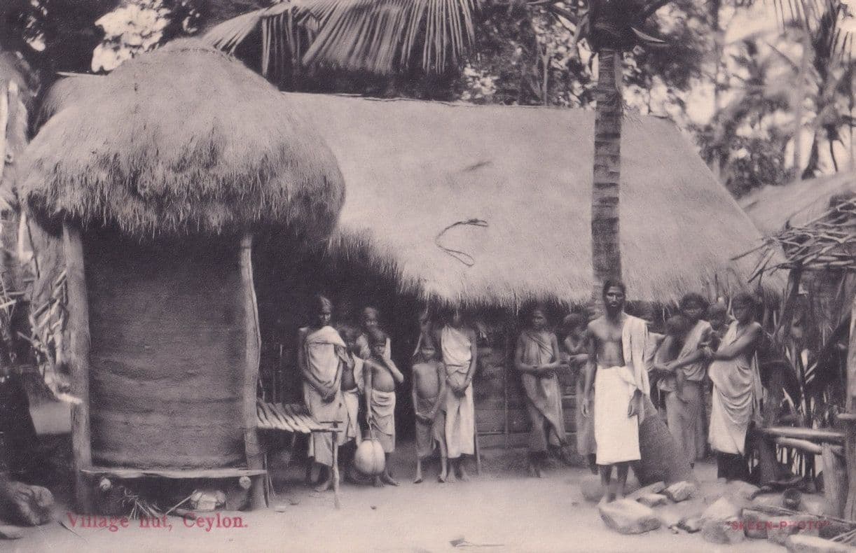 Ceylon Village Hut People Antique 1909 India Postcard