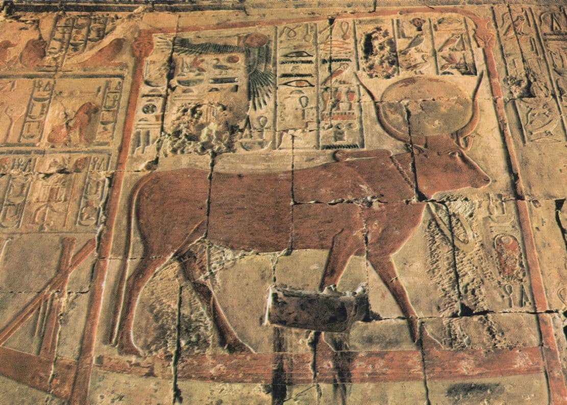 Chapel of Goddess Hathor Egypt Postcard