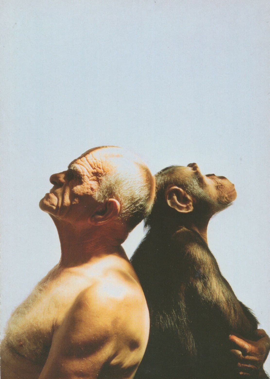 Charles Darwin Evolution Teacher Recruitment Postcard