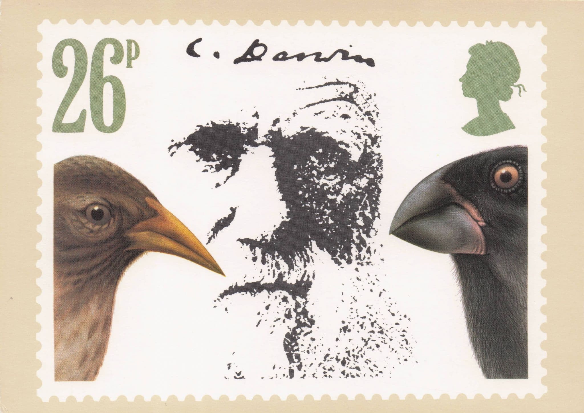 Charles Darwin Finches Victorian Birds Royal Mail Ltd Stamp Postcard