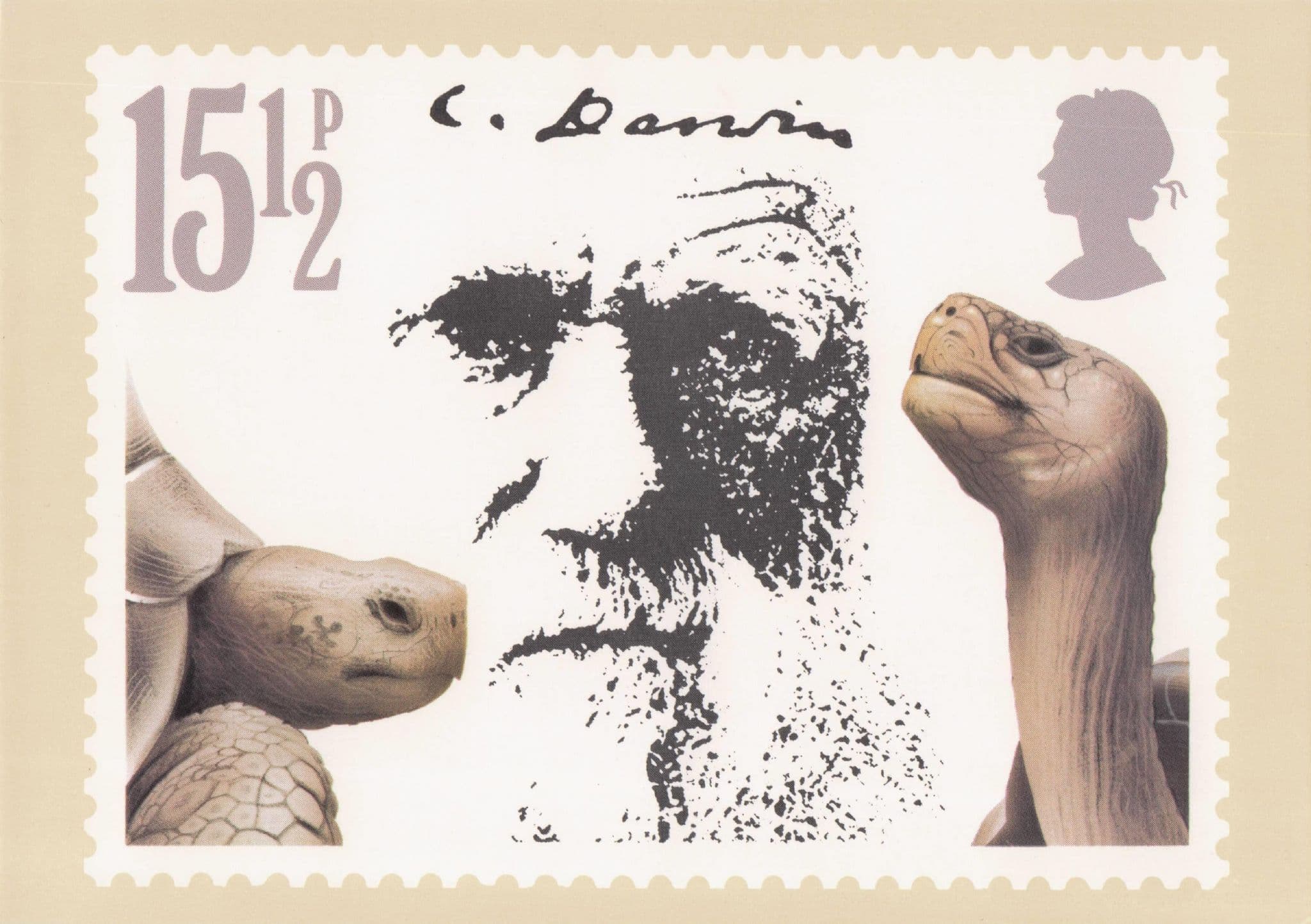 Charles Darwin Prehistoric Scientist Discovery Of Giant Tortoise Postcard