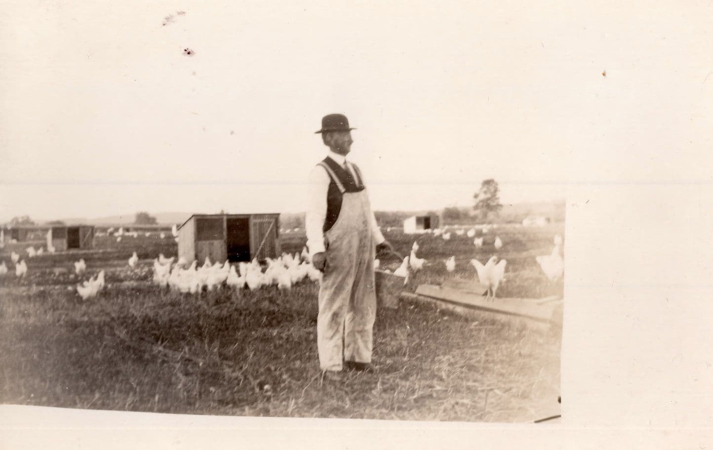 Charlie Chaplin Type Man Bird Hen Farm Farmer Real Photo Antique Postcard