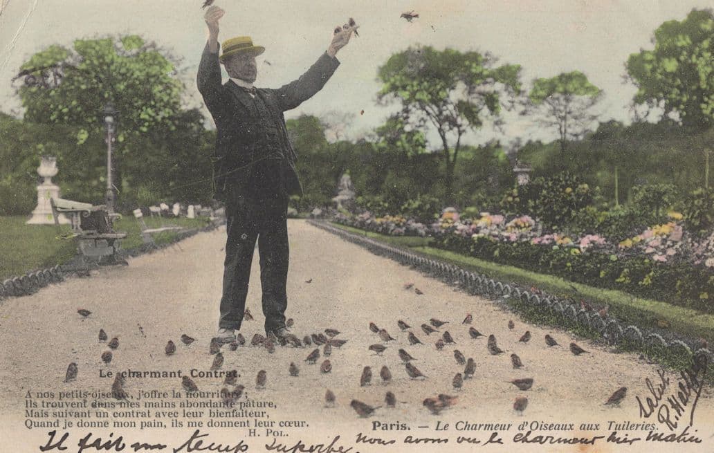 Charmeur D'Oiseaux Aux Tuileries Paris Bird Charmer French Postcard