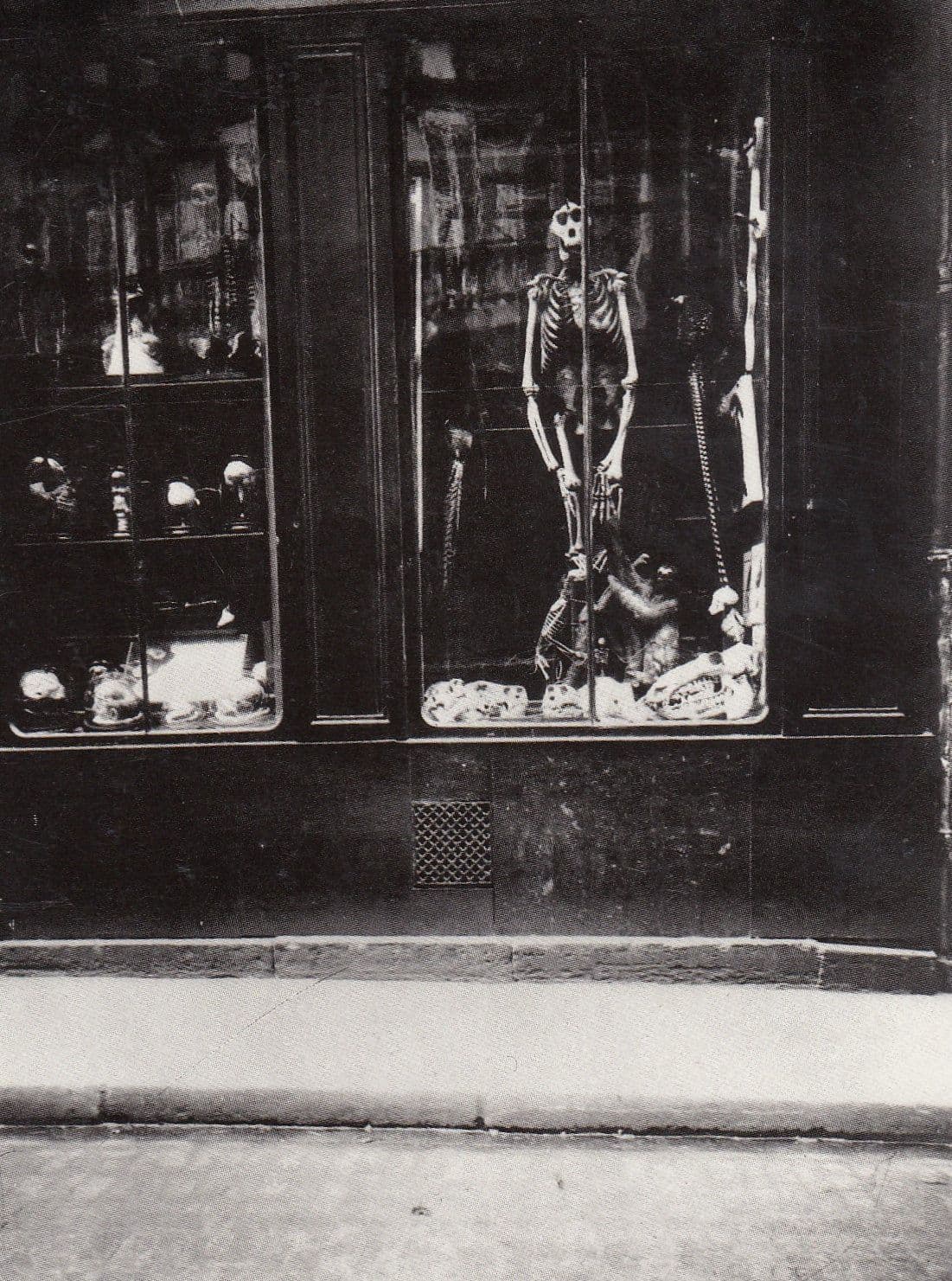 Chemist Old Skeleton Dangling School Of Medicine Photo Postcard
