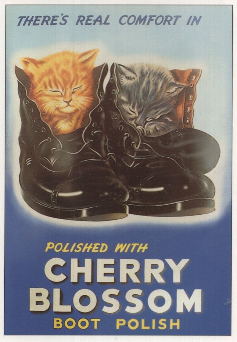 Cherry Blossom Boot Polish Shoes Kittens Leather Advertising Postcard