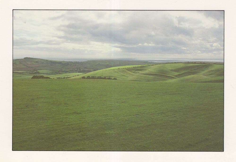 Chilcombe Hill Thomas Hardy Dorset Postcard