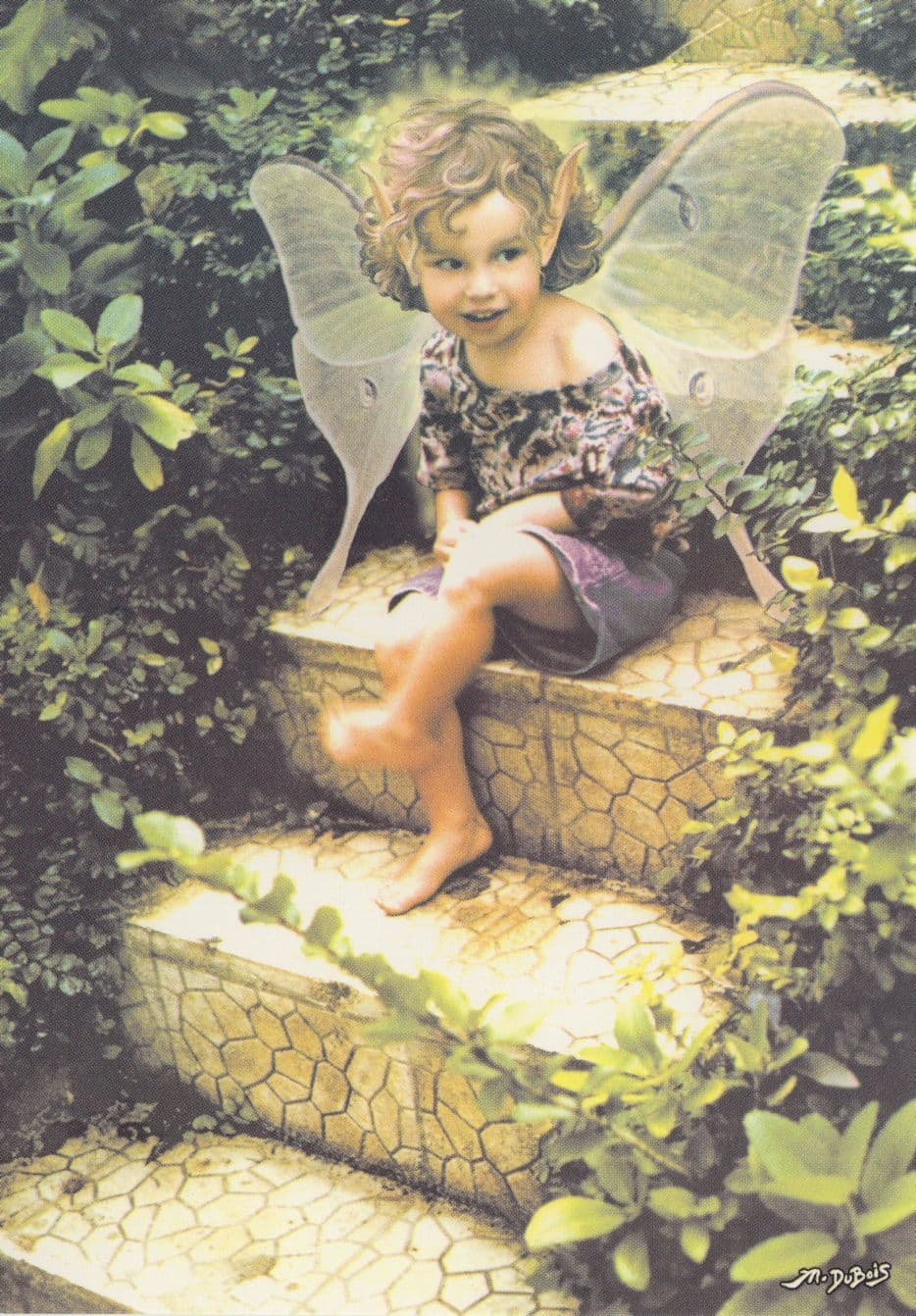 Child Dressed As Fairy Woodland Pixie Postcard
