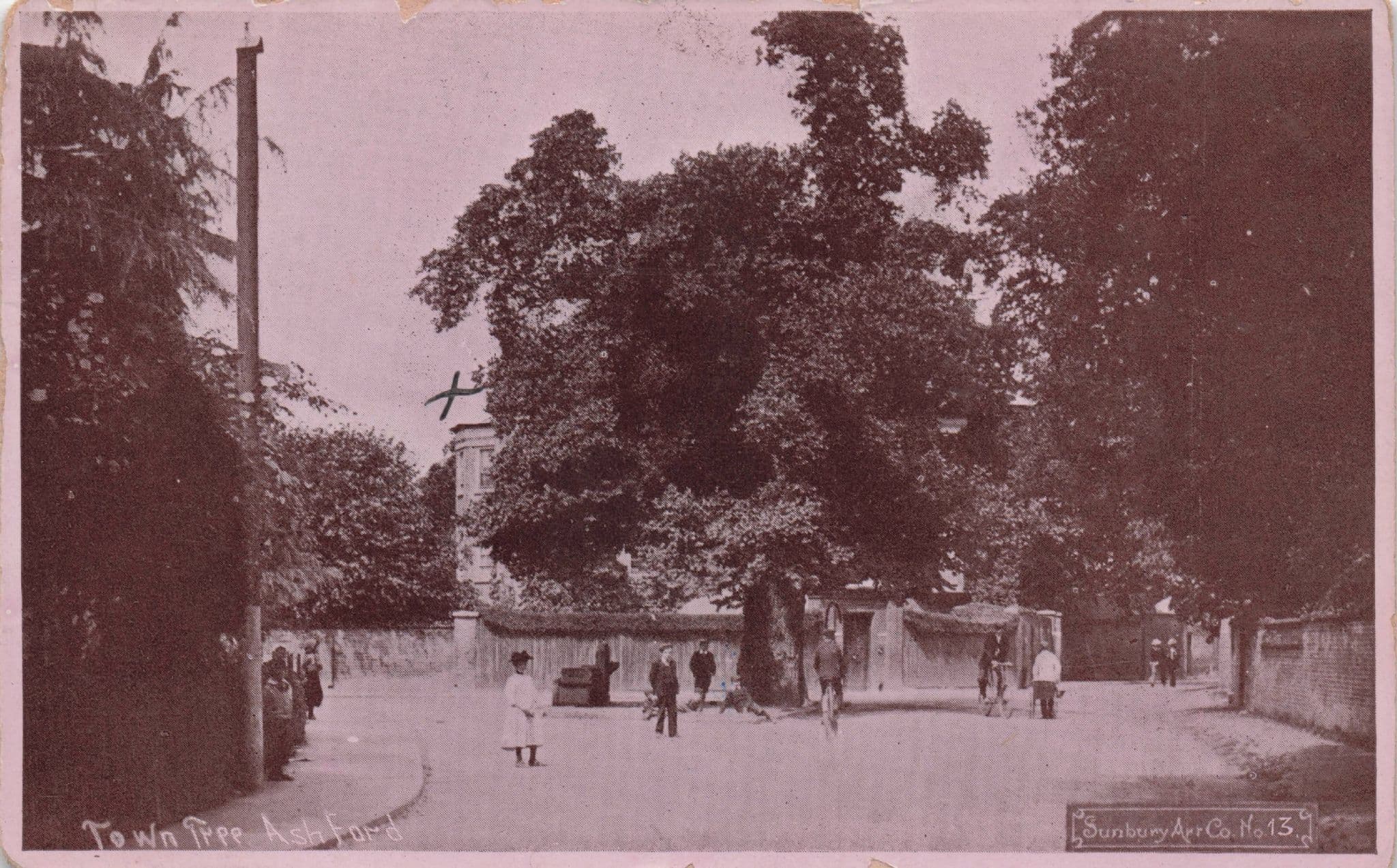 Children at Town Tree Ashford Kent 1905 Real Photo Postcard