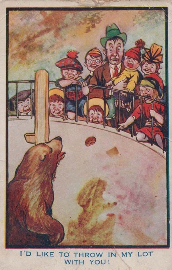 Children Feeding Hungry Bear At Zoo Animal Comic Humour Postcard