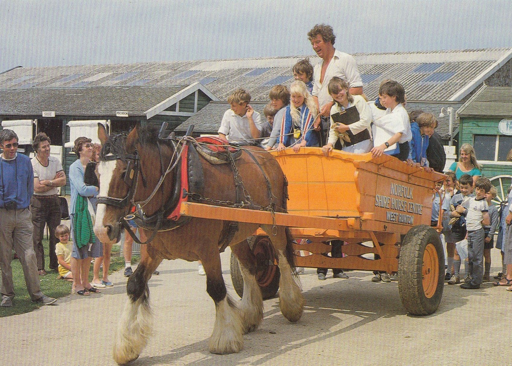 Childrens Cart Rides at Norfolk Shire Centre Horse Cromer Postcard