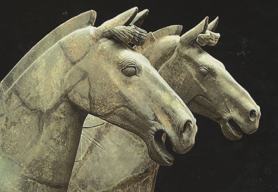 Chinese Terracotta Chariot Horses Qin Dynasty Statue Postcard