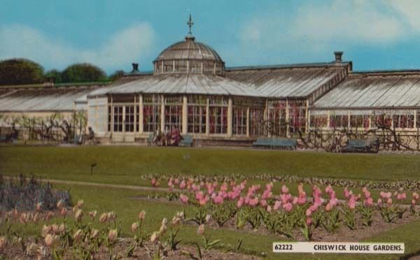 Chiswick House Gardens London 1970s Postcard