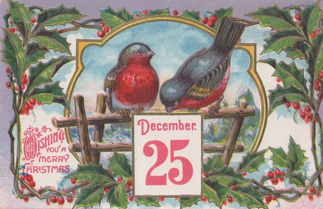 Christmas German Robin Bird Raised Antique Greetings Postcard