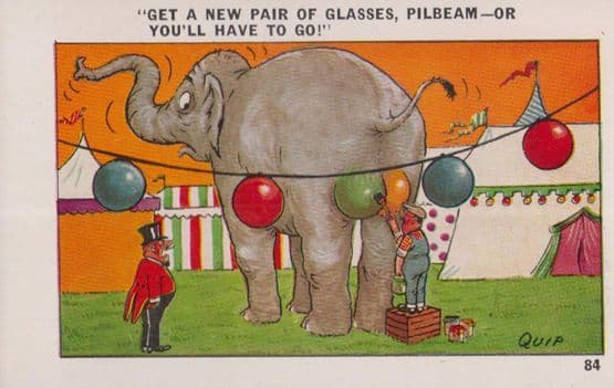 Circus Elephant Tent Giant Balls Balloons Angry Ringmaster Comic Humour Postcard
