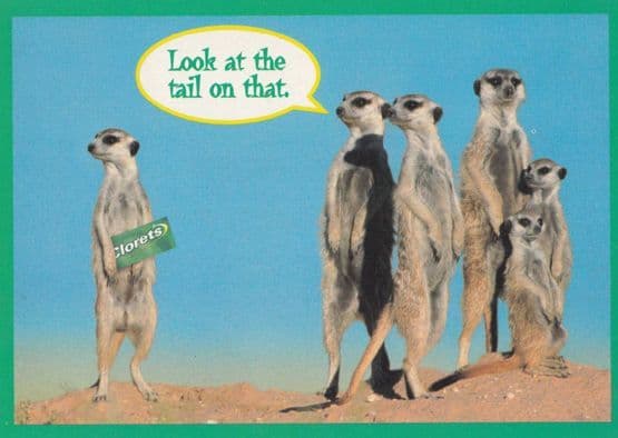 Clorets Mints Vintage Advertising Postcard