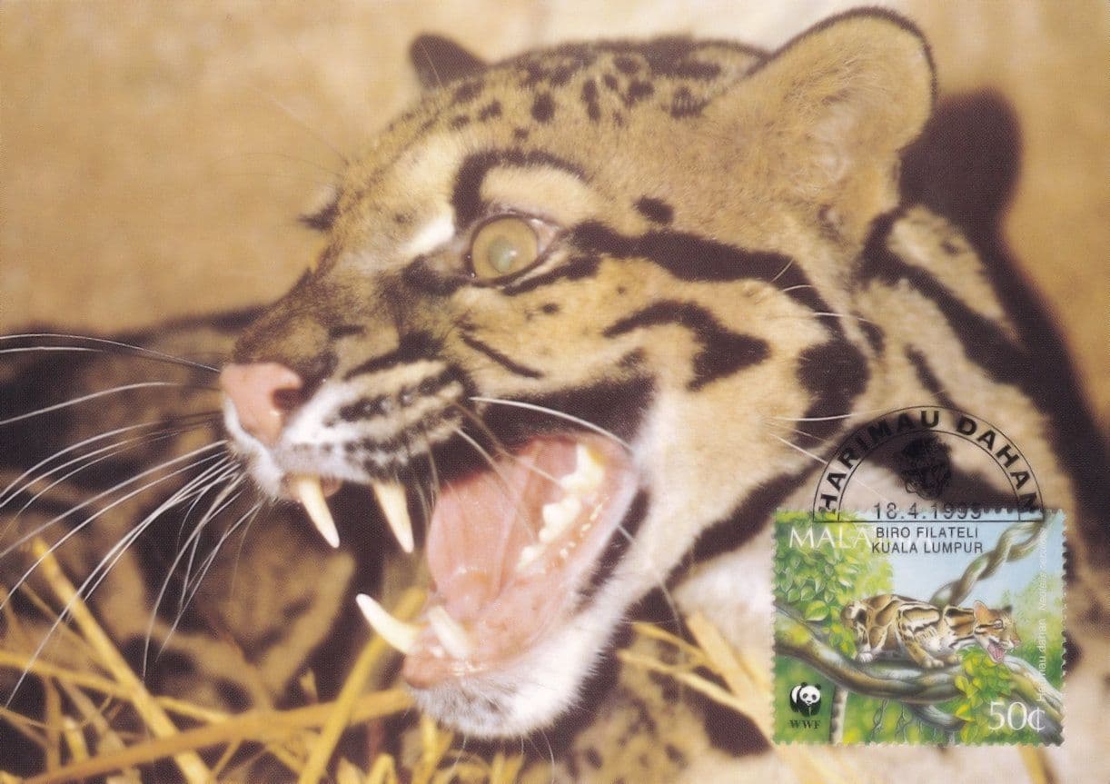 Clouded Leopard Malaysia WWF Stamp First Day Cover Postcard