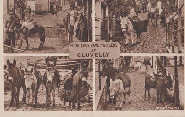 Clovelly Four Legs Save Two Legs Devon Antique Postcard