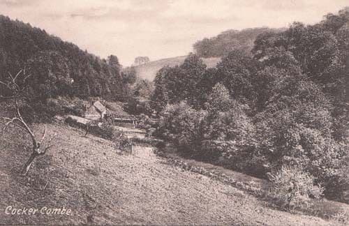 Cocker Combe Cockercombe Somerset Vintage Postcard