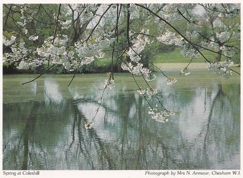 Coleshill Buckinghamshire Womens Institute Postcard