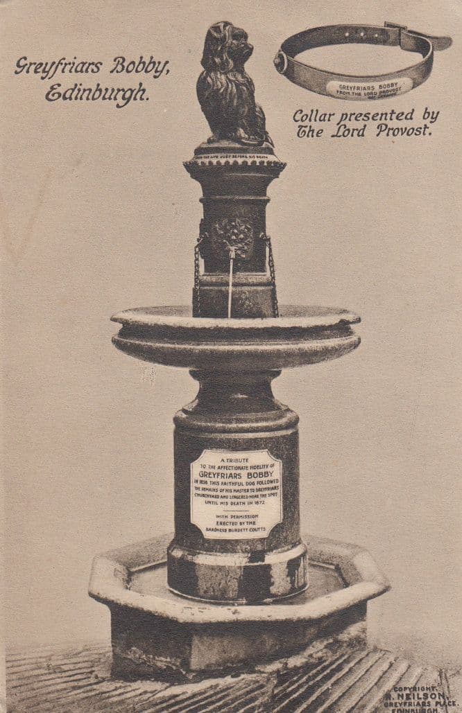 Collar of Greyfriars Bobby Scottish Postcard