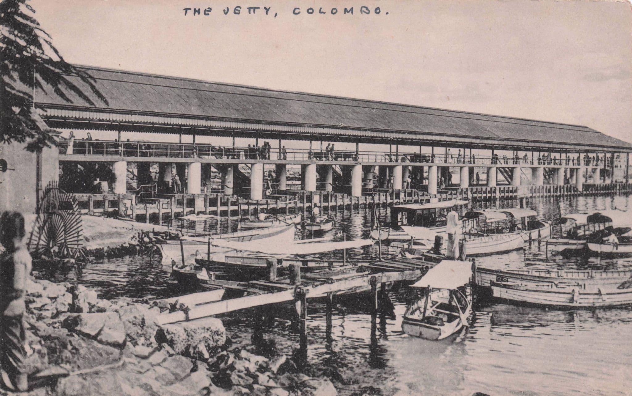 Colombo Jetty Ceylon India Rare Plates Antique Harbour Postcard
