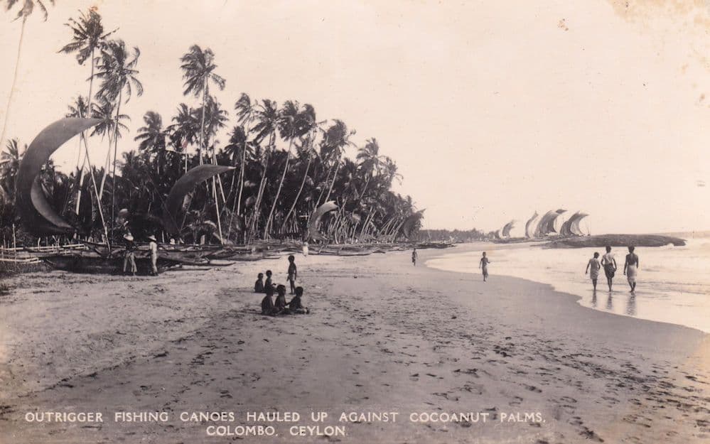 Colombo Outrigger Fishing Canoes Hauled Up Cocoanut Palms Postcard