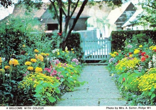 Colour Flower Garden Ridge Village Herts Hertfordshire Womens Institute Postcard