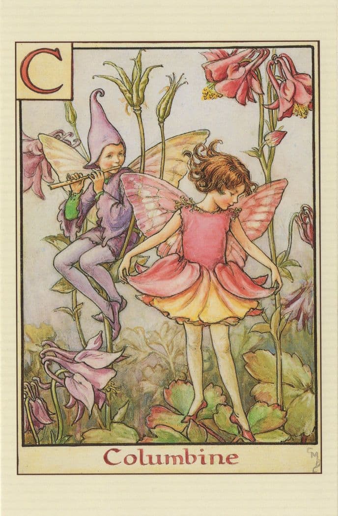 Columbine Fairy From Flower Fairies 1930s Book Stunning Postcard