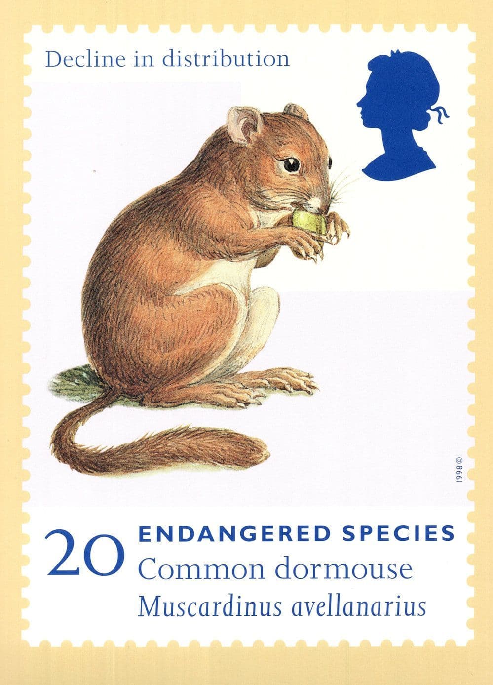 Common Dormouse Rare Royal Mail First Day Cover Postmark Postcard