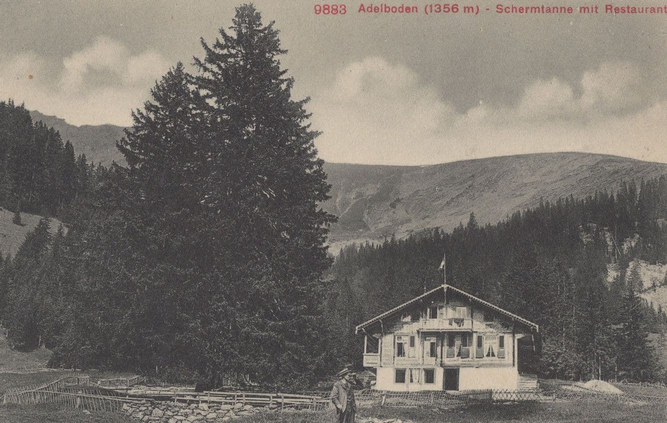 Confused Man Outside Adelboden Schermtanne Restaurant Swiss Postcard