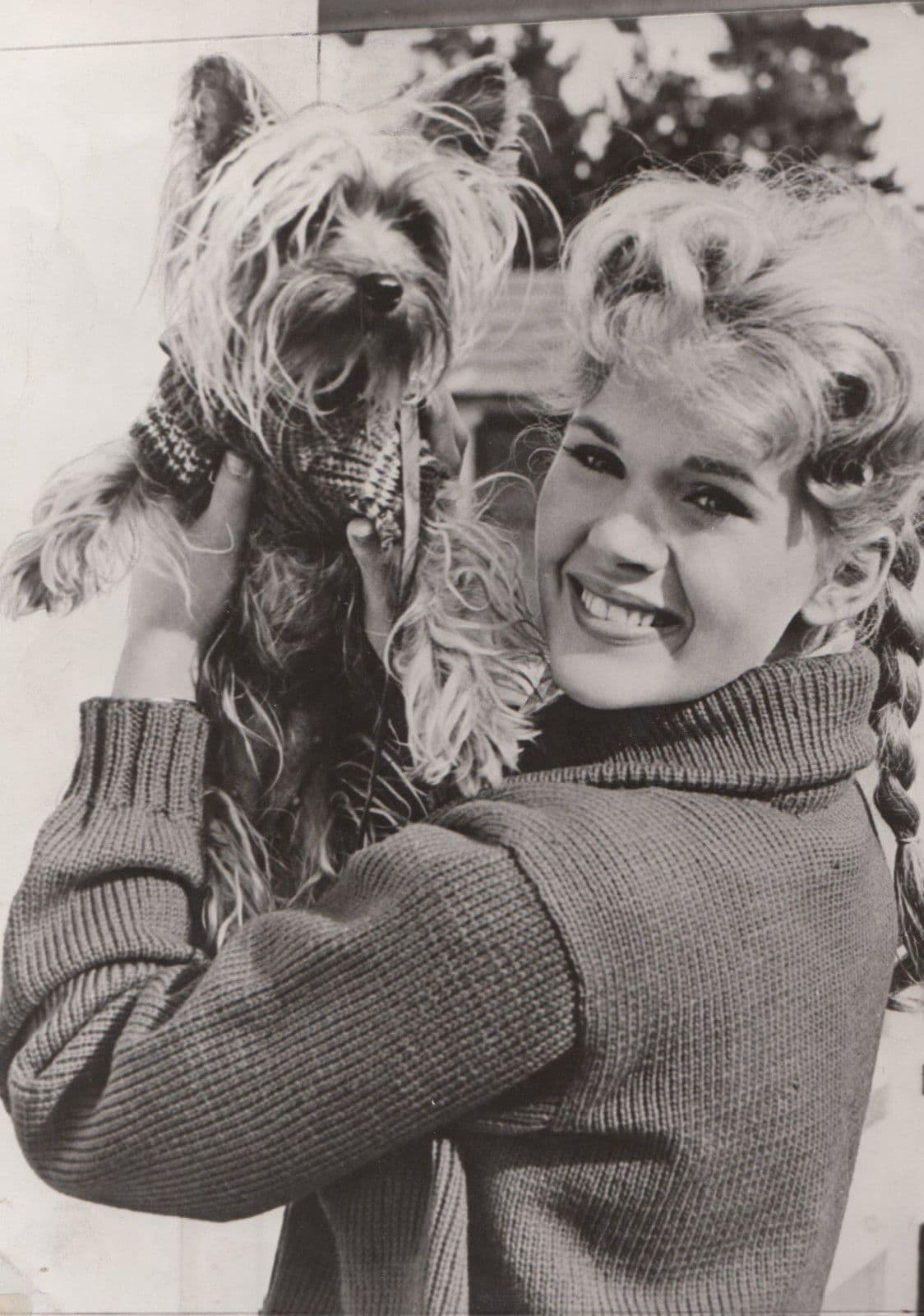 Connie Stevens With Pet Dog Large 1970s Press Photo