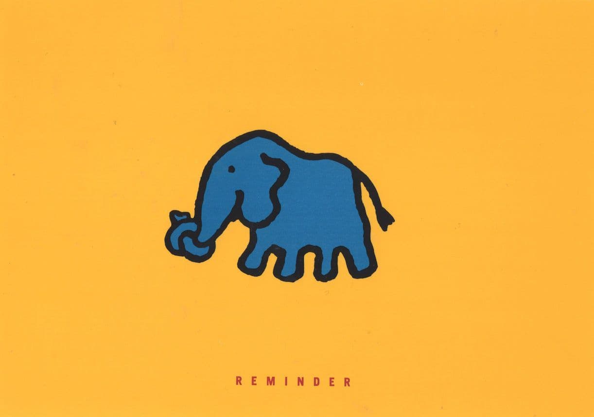 Contact Lens Opticians Kenilworth Advertising Elephant Postcard
