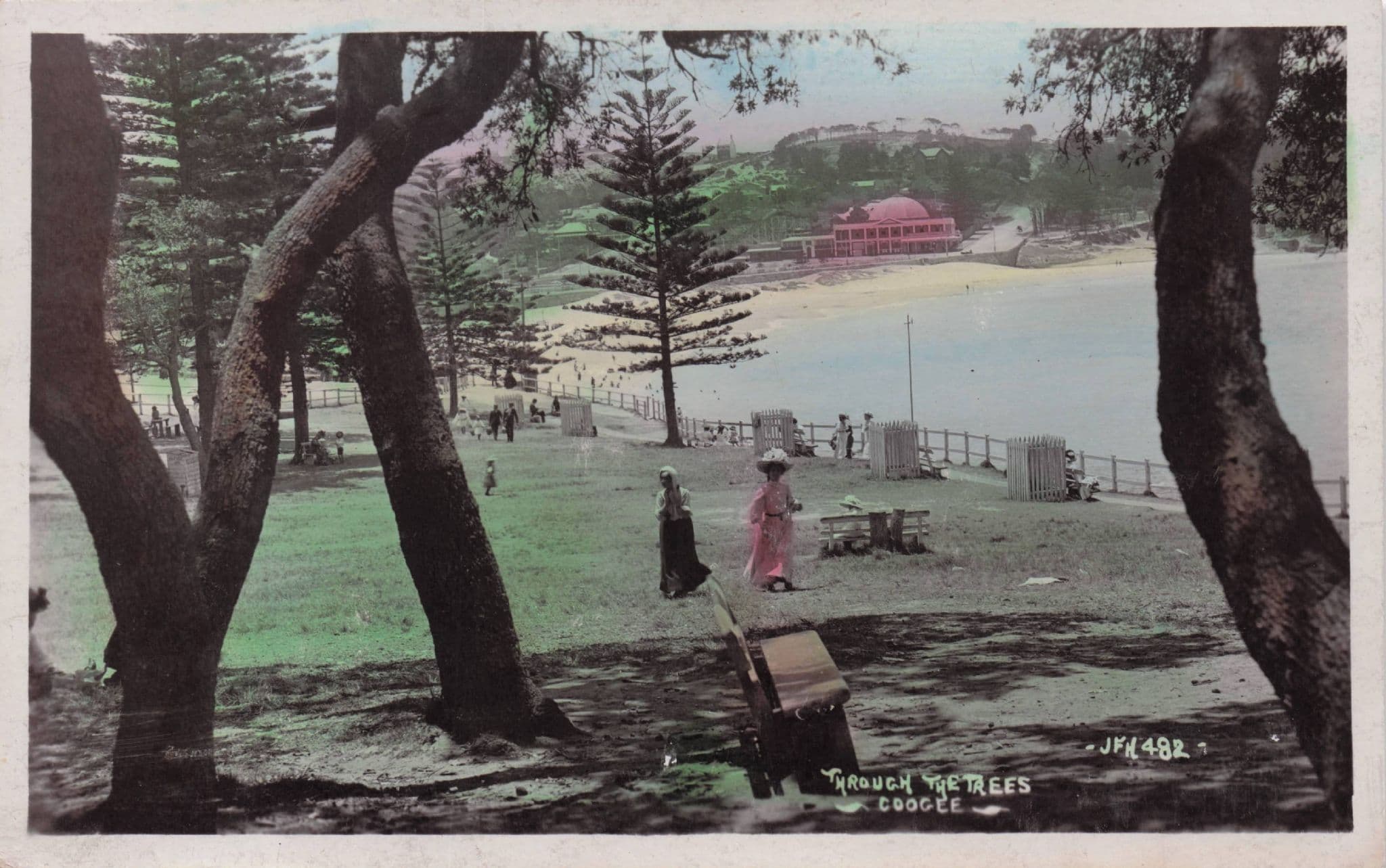 Coogie Through The Trees Australia Real Photo Old Postcard
