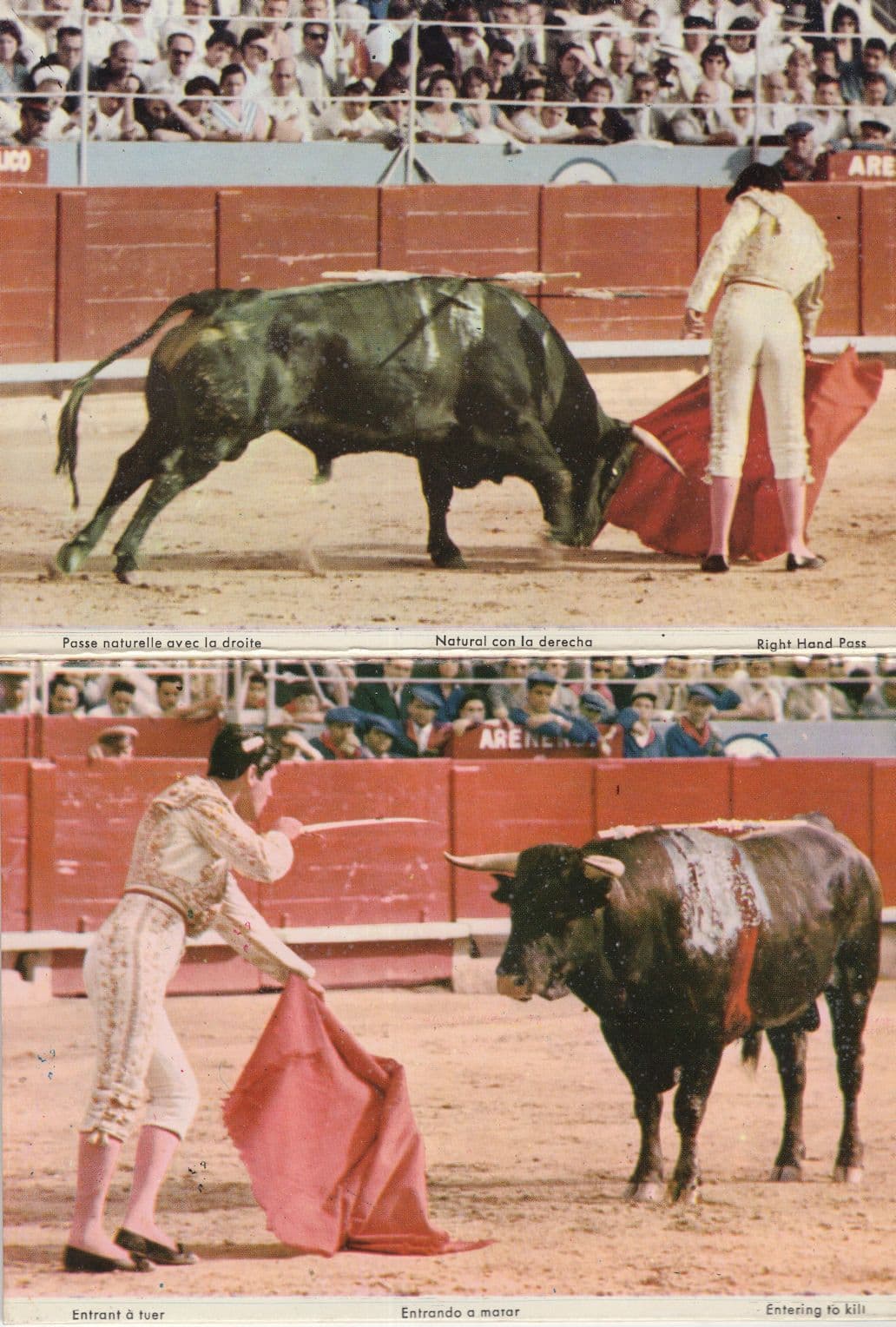 Corrida De Toros Bullfighting 9x Matador Spanish Postcard Set