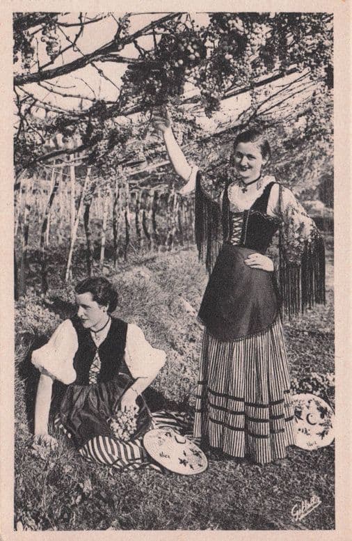 Cote D'Azur Beautiful French Floral Glamour Women Lady Fashion Old Postcard