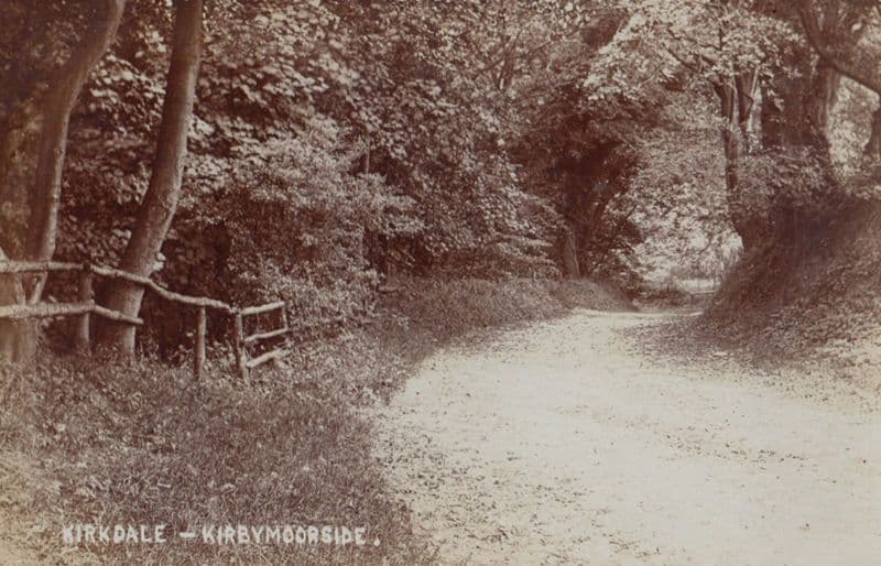 Country Winding Road in Kirkdale Kirkbymoorside Antique Real Photo Postcard