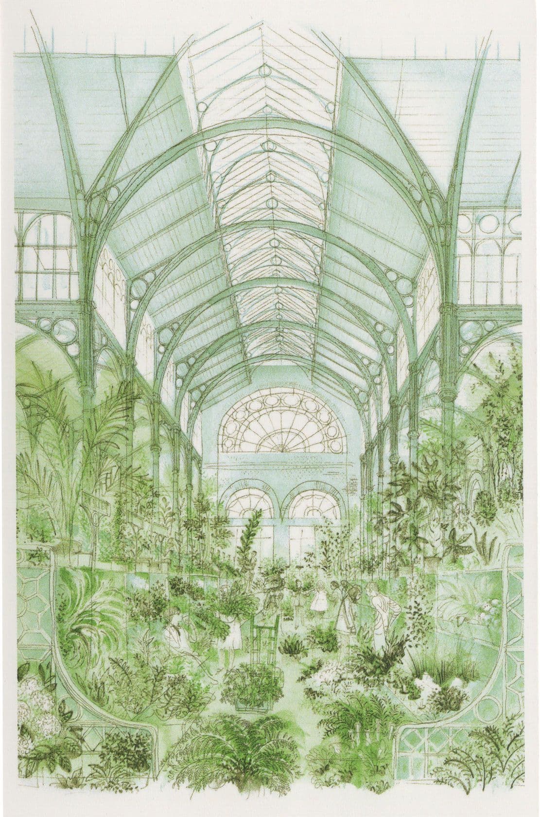 Covent Garden Flower Garden Transport Museum London Lithograph Postcard