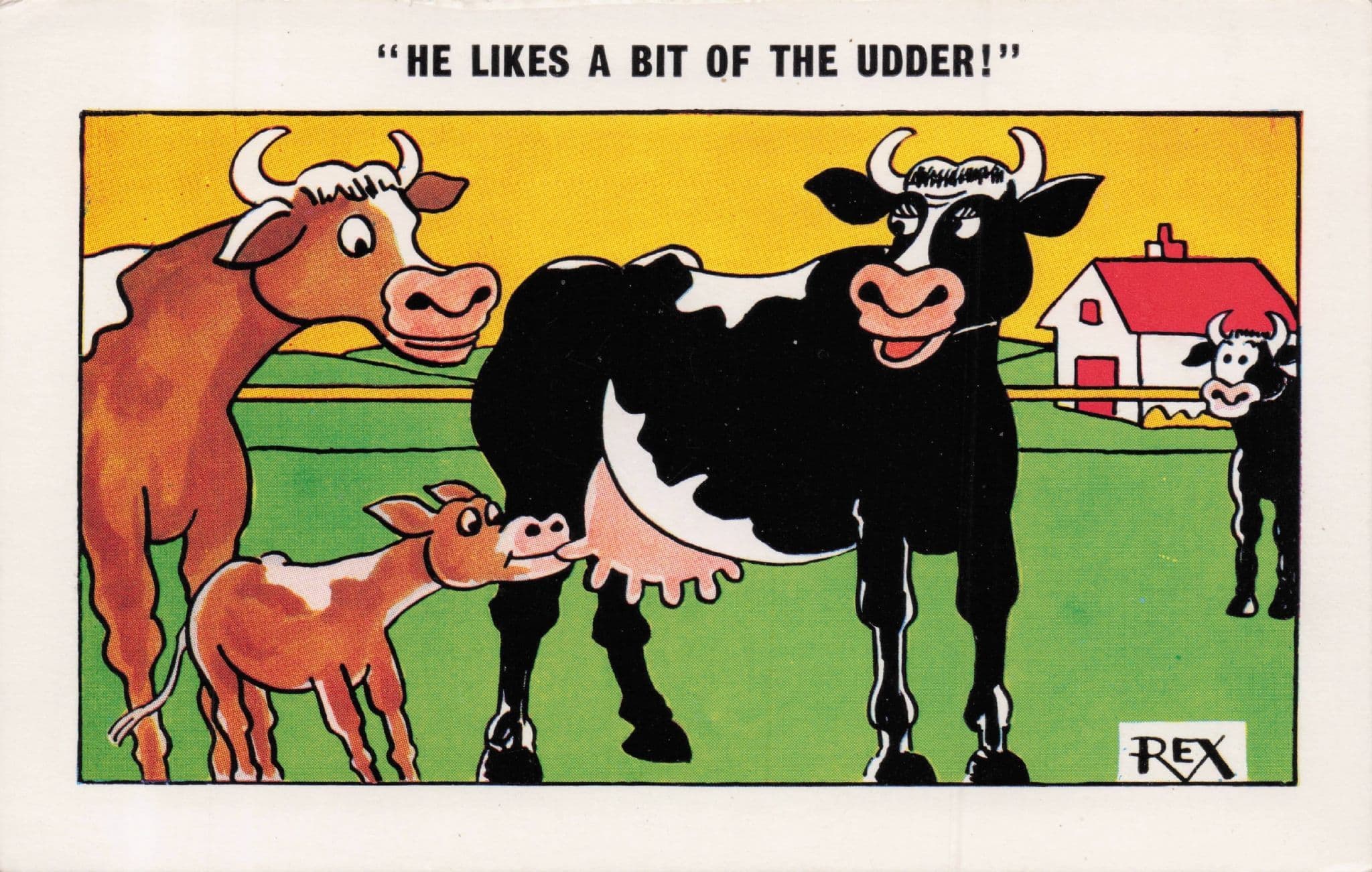 Cow Calf Playing With Udder Farm Vintage Comic Postcard
