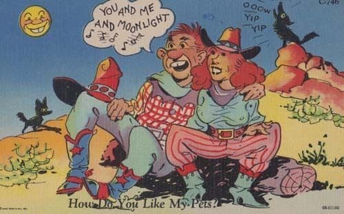 Cowboy Ranch Gail Noisy Singing Pets Dog Wailing Vintage Comic Postcard