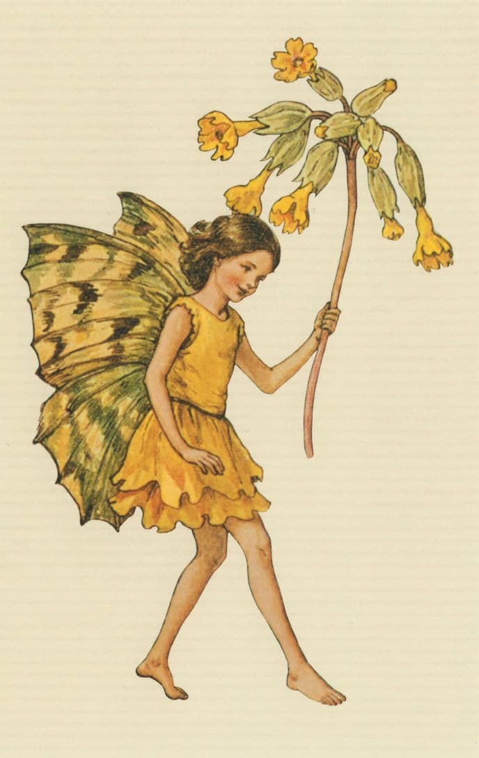 Cowslip Flower Fairy Fairies Antique Book Stunning Postcard