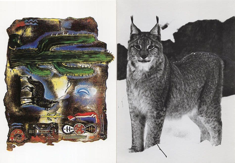 Coyote European Lynx Cat Cactus 2x Art Painting Postcard s