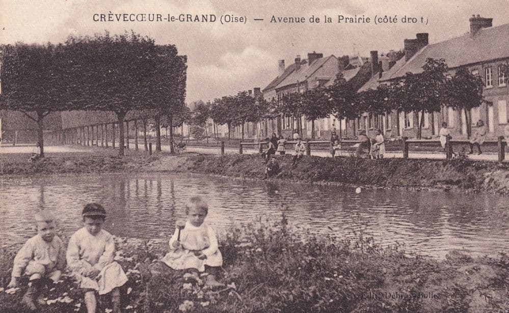 Crevecour Le Grand Avenue De La Prairie Antique France Postcard