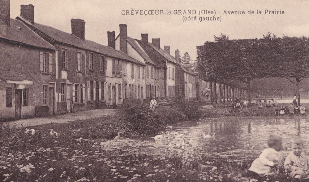Crevecour Le Grand Avenue De La Prairie Antique French Postcard