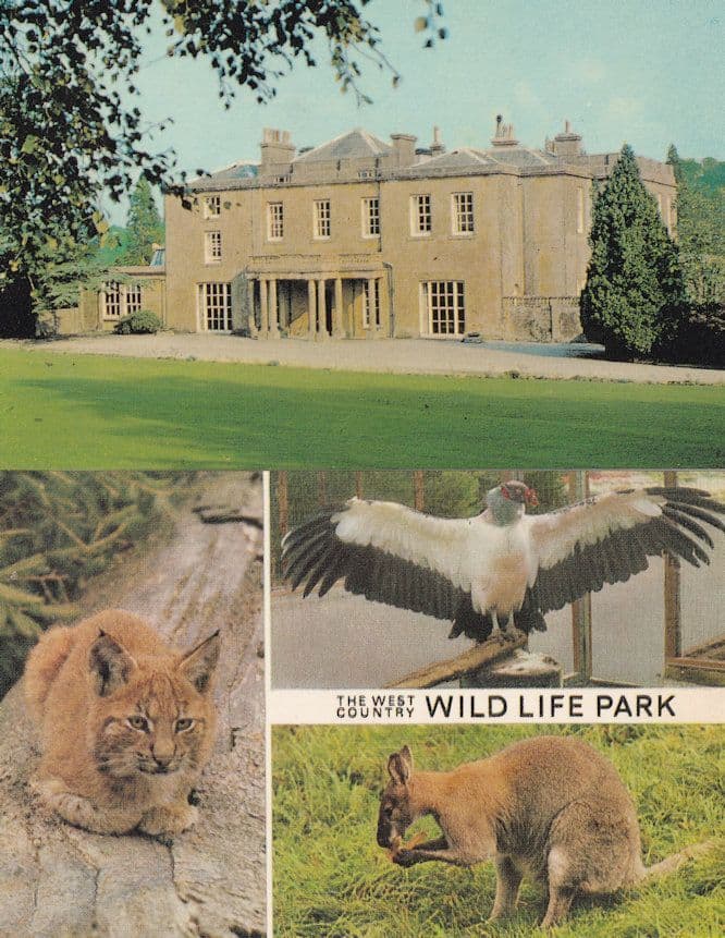 Cricket St Thomas Wildlife Park Zoo Somerset 2x 1970s Postcard s